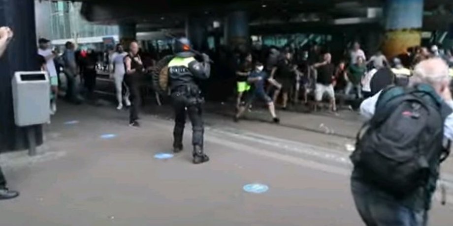 Фото: Скриншот из видео