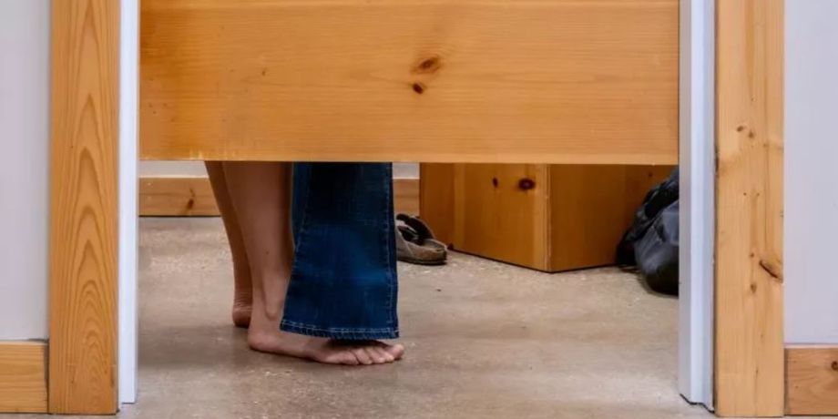 Собака в примірочній не на жарт злякала жінку, курйозний момент потрапив у відео, тварини, цікавинки, курйози