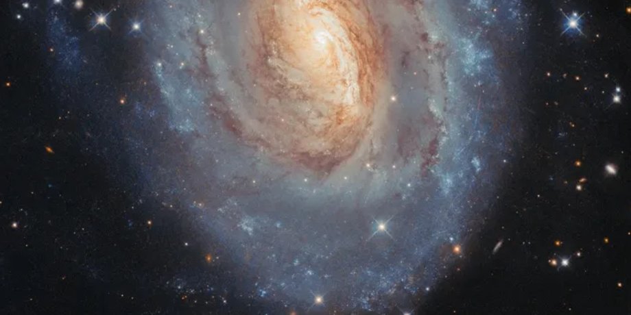 NGC 6000