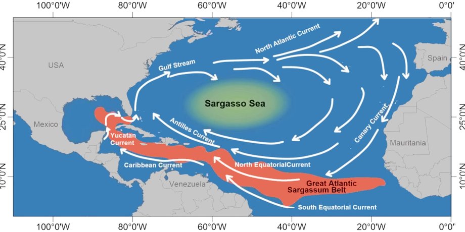 Саргасовве море розташоване у Північній Атлантиці
