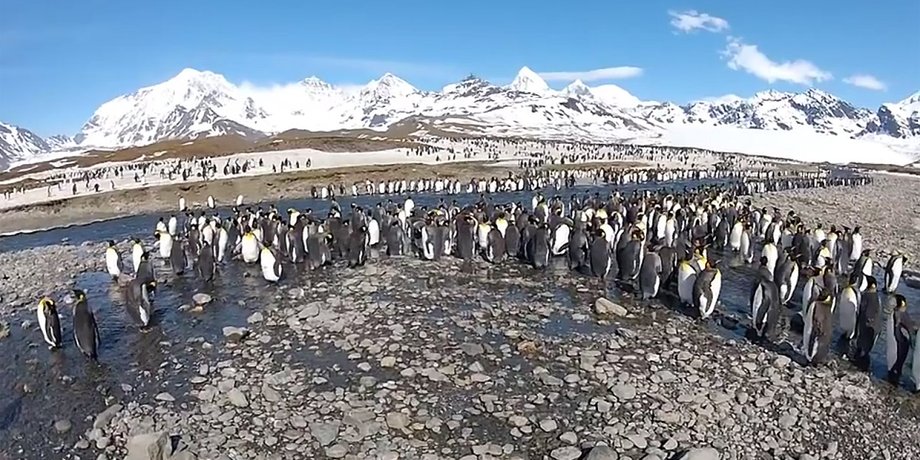 Скриншот видео