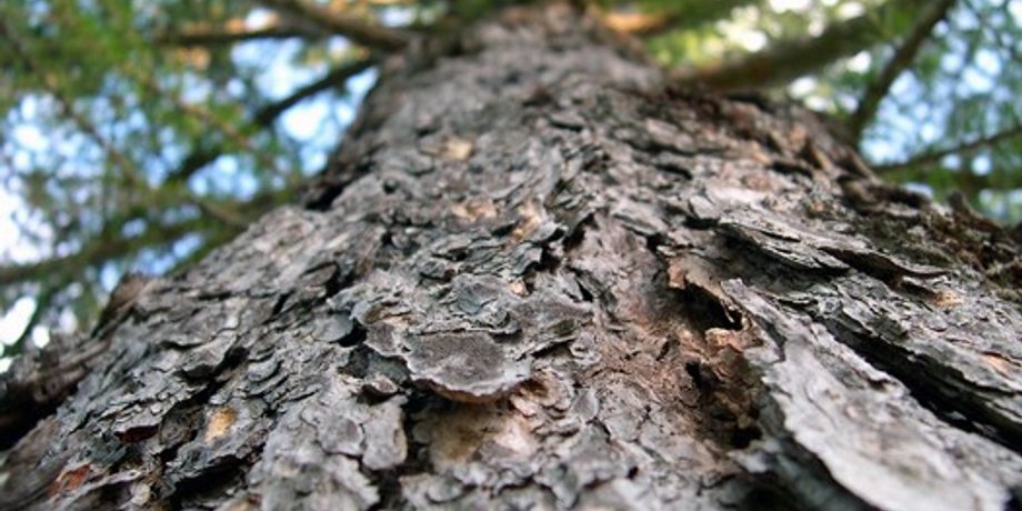 Фото: livejournal.com