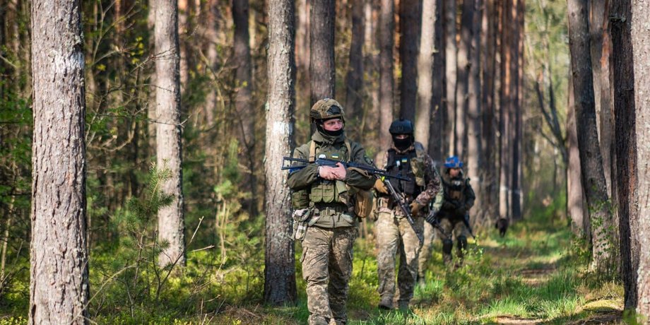 Українські військові, ЗСУ, Сили оборони