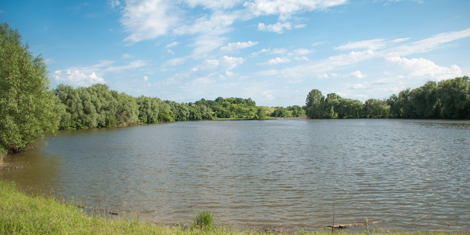 Ставок