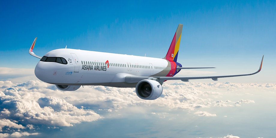 Asiana Airlines, самолет южная корея, южная корея, самолет открылась дверь