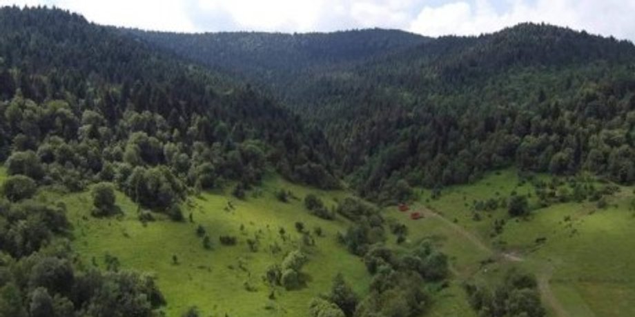 карпаты горы