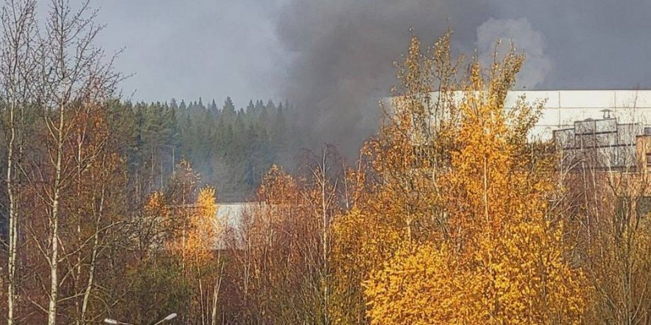 Пожар в Подмосковье