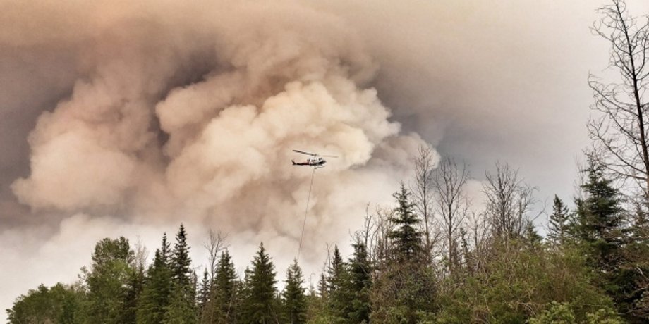 Фото: CTV News