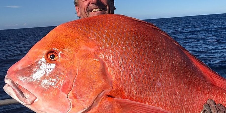 Фото: Rainbow Beach Deep Sea Fishing