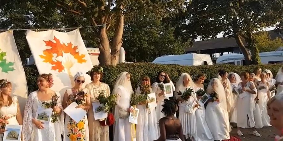 свадьба людей и деревьев в Бристоле