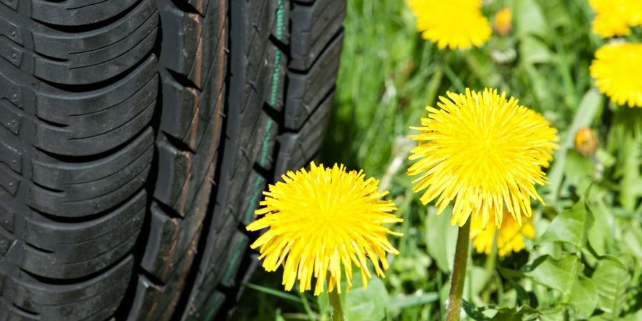 Шины из одуванчиков, автомобильные шины, новые шины, шины GoodYear
