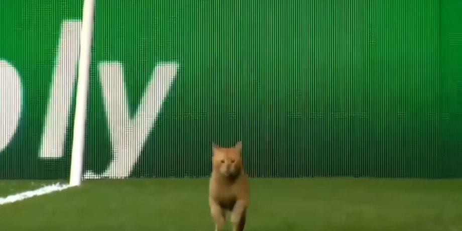 Скриншот / youtube.com / Soccer Moments HD