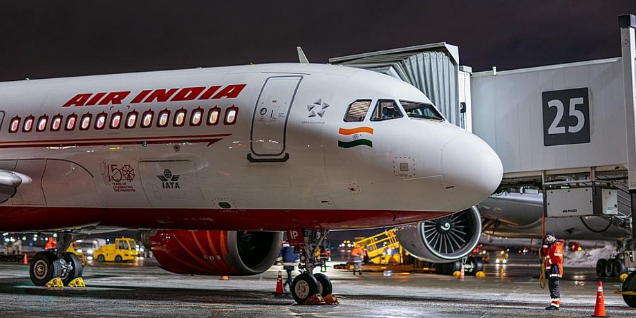 Air India, дели, сша, нью йорк, индия, летучая мышь, самолет, вернулся, борт, аэропорт, вылет