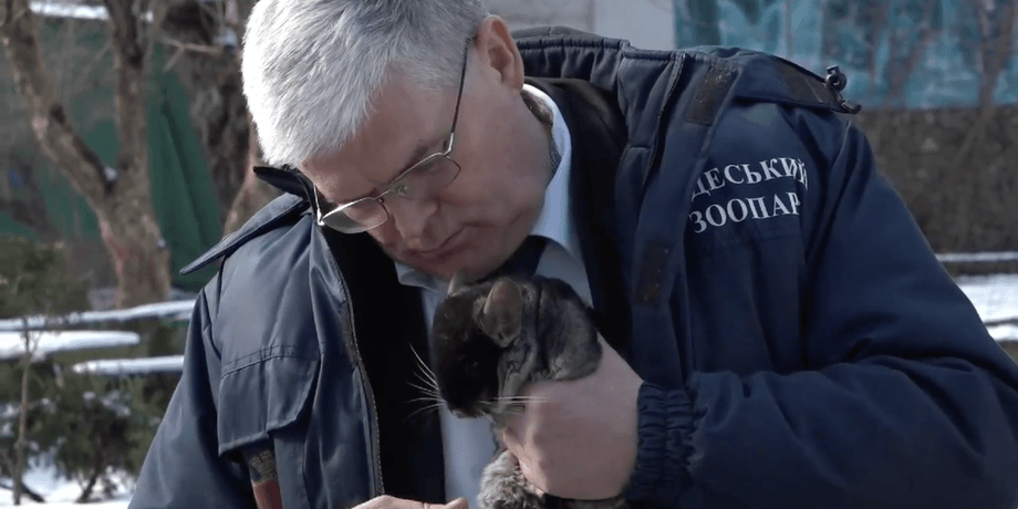 Мужчина держит в руках шиншиллу