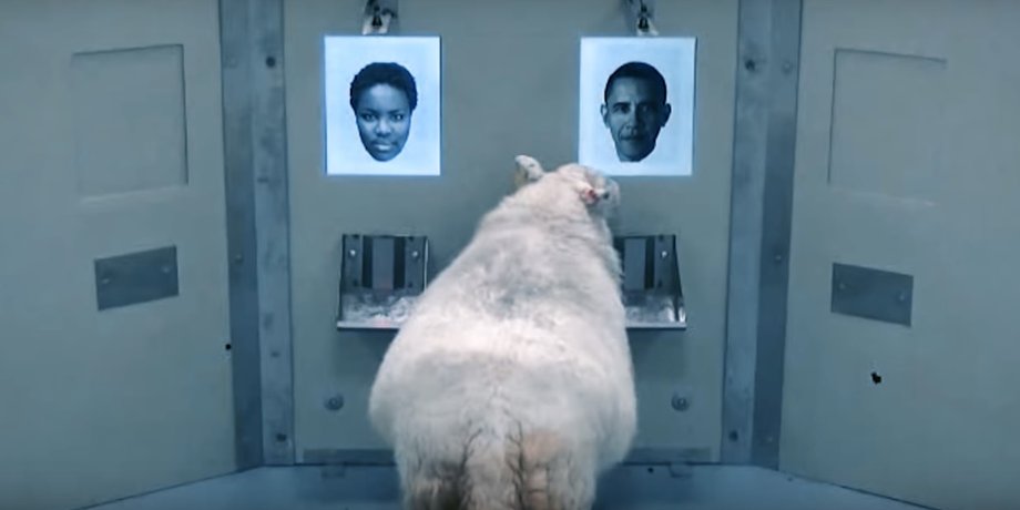 Скриншот: youtube.com / Science Magazine