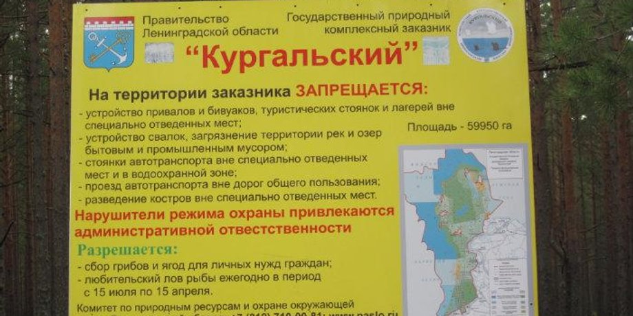 Фото: Экологическая вахта Санкт-Петербурга