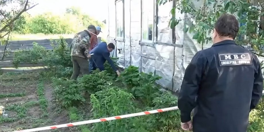 Експерти, стрілянина