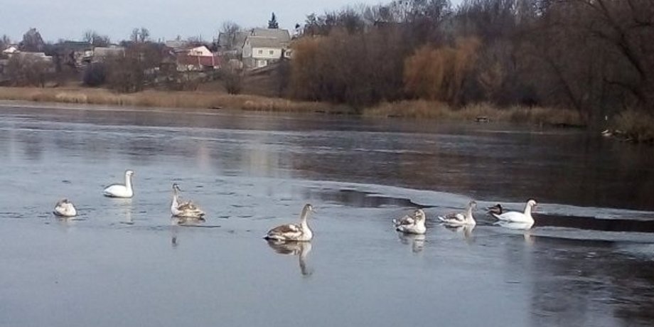Фото: ГСЧС