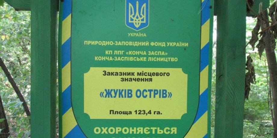 Фото из открытых источников