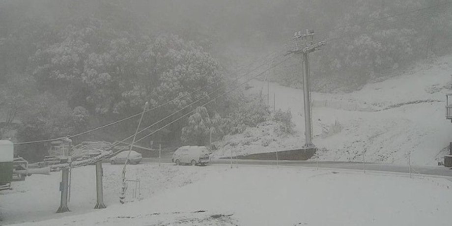 Фото: twitter.com/SNOWSEARCH_aus