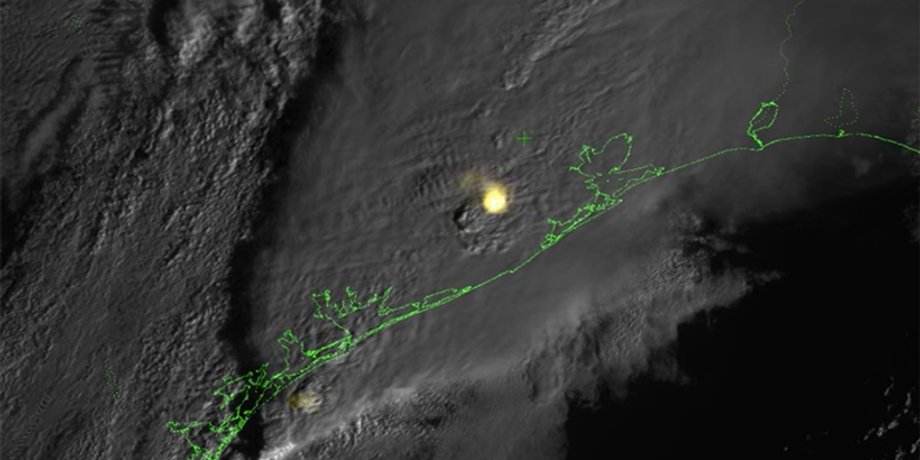 Результат спутниковой съемки / Фото: NASA