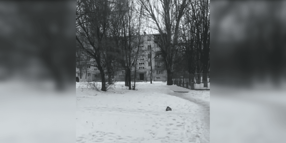 Стрельба в Запорожье