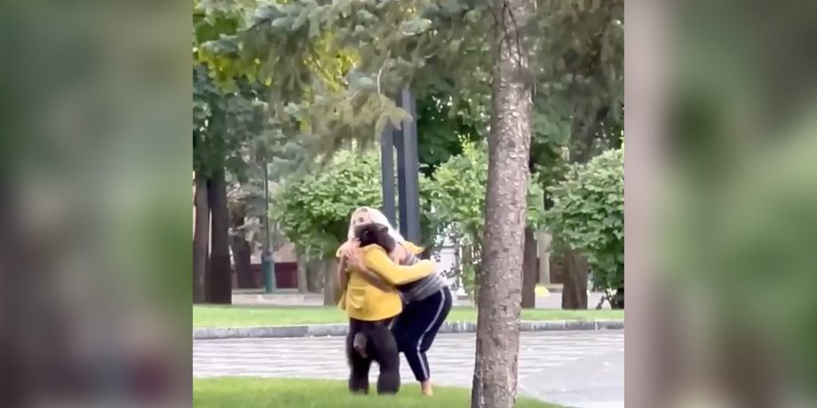 Шимпанзе в центрі Харкова, шимпанзе харків, мавпа харків, мавпа в харкові, мавпа втекла із зоопарку