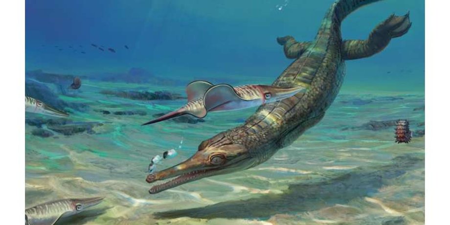 древние животные, палеонтология, морской крокодил