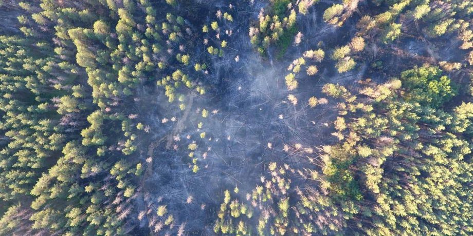 Фото: ГСЧС Украины/Facebook