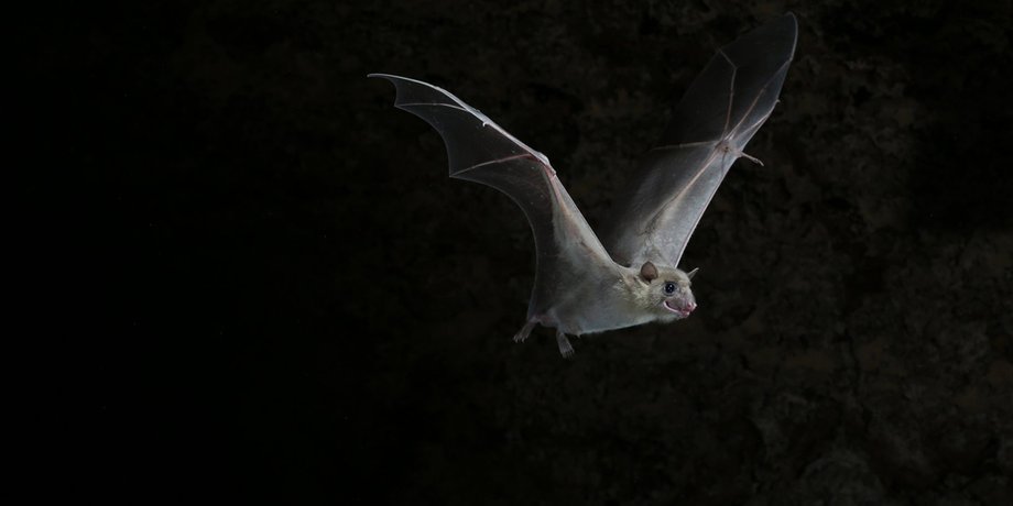 Фото: Jens Rydell/nytimes.com