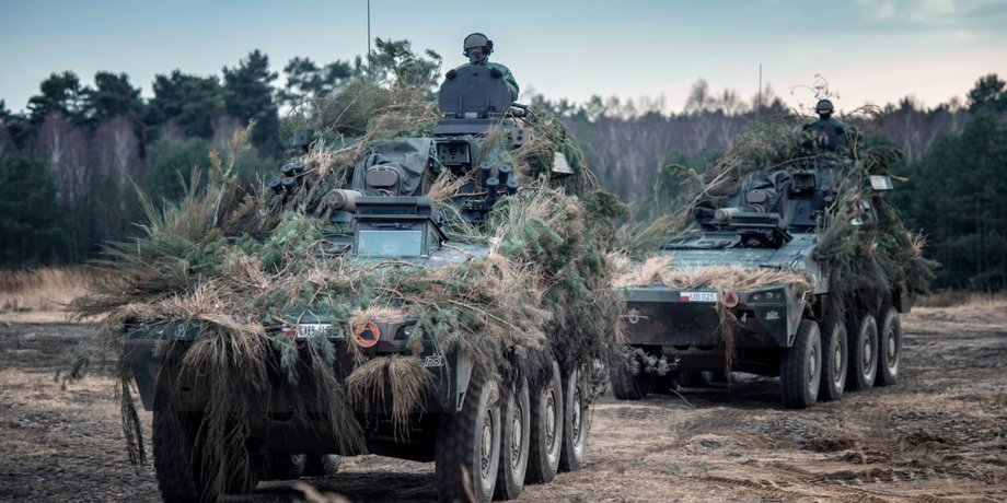 польські сау Rak