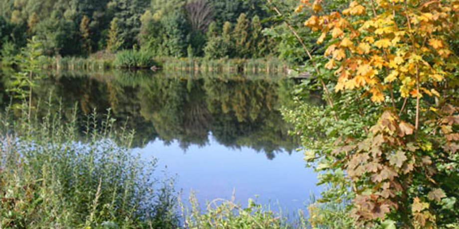 http://www.belarus.by