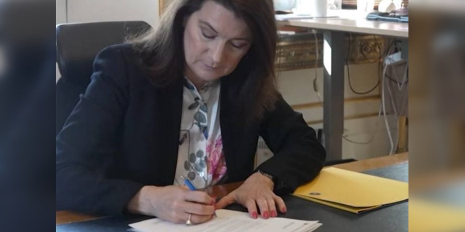 Міністерка закордонних справ Швеції Анн Лінде, Швеція та Фінляндія вступають у НАТО, заявка на вступ у НАТО