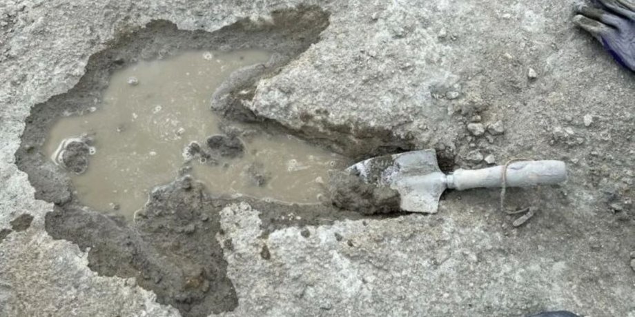 археологи нашли самый длинный непрерывный след динозавров