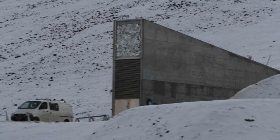 хранилище судного дня семена