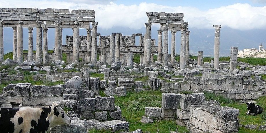 апамея, сирия, археология, война в сирии