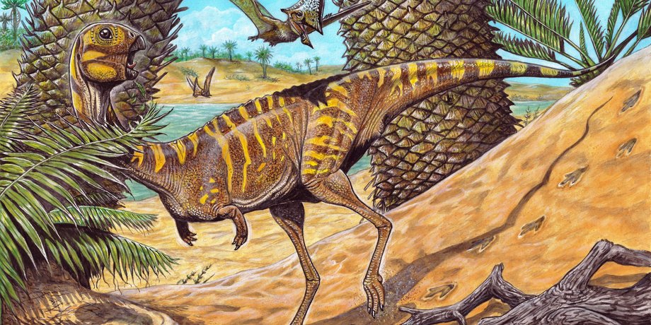 динозавры, B. Leopoldinae, природа, рисунок