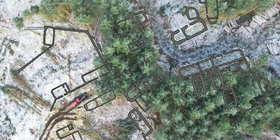 Шотландия, остров, деревня, поселение, археологи, археология, раскопки, ель, исследования, ученые, история, руины, жизнь, люди, участок, плантация