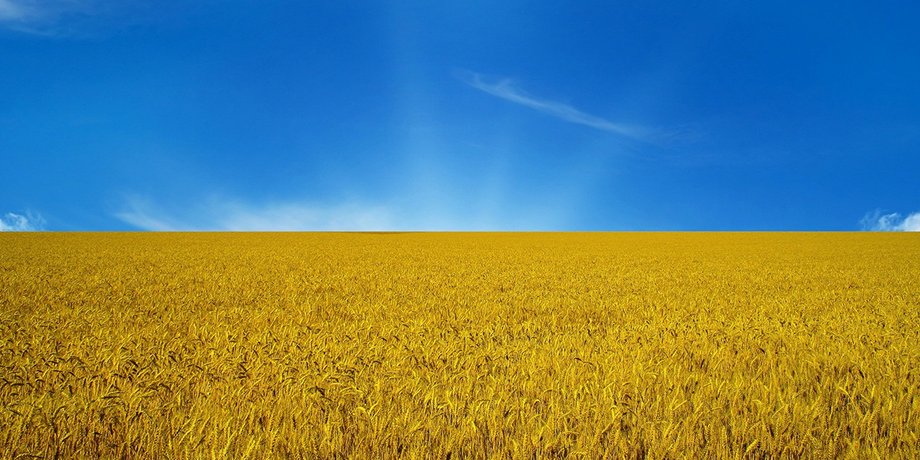 Фото: открытые источники