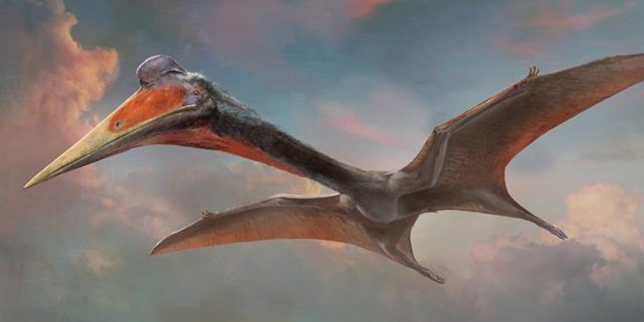 Фото: Pteros