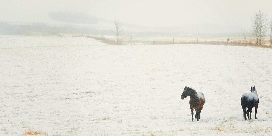 Фото: Getty Images