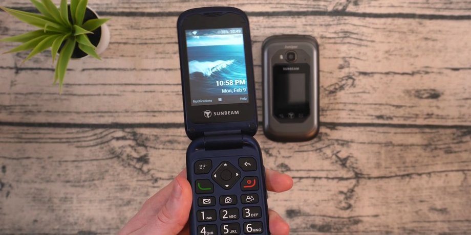 Sunbeam Wireless F1 Pro