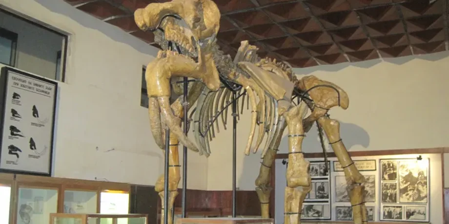 Deinotherium giganteum, Происхождение мифа о циклопе, Древние окаменелости и мифы, Палеонтология и греческие легенды, древние существа, Мифические существа в истории