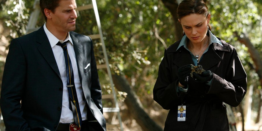 кости, сериал "Кости", сериал о судмедэкспертах, сериал о криминалистах, судмедэкспертиза