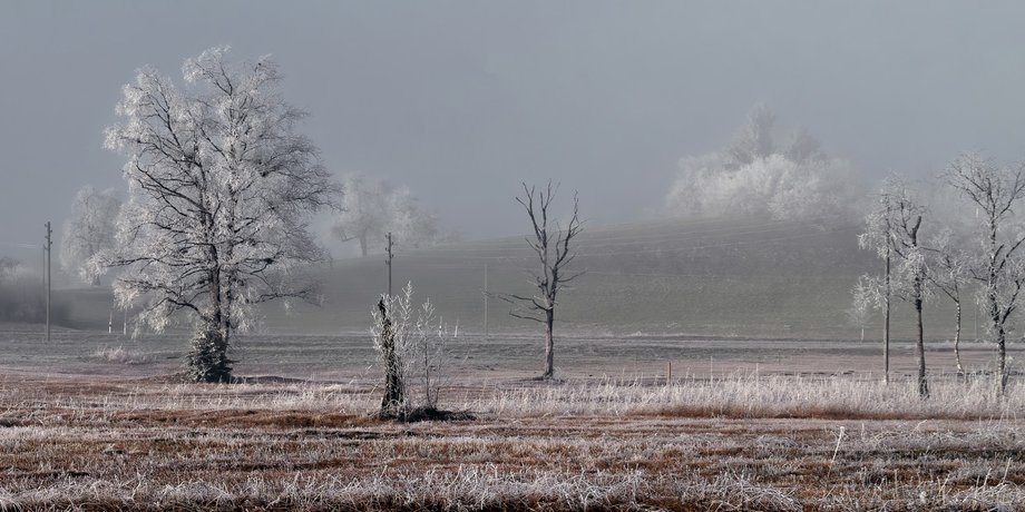 Осень, заморозки, октябрь