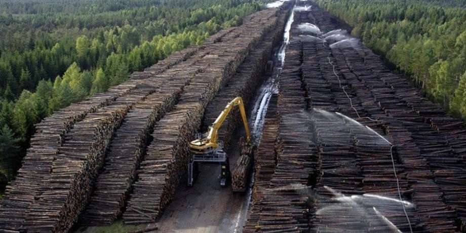 Фото: Бизнес Вести