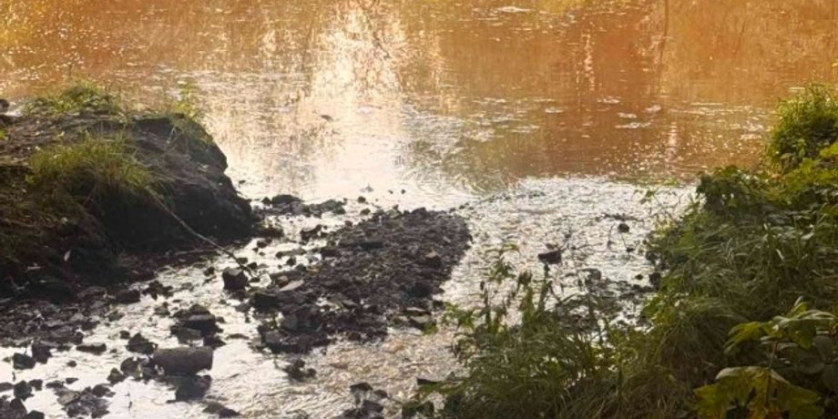 фото забрудненої водойми в Києві після удару РФ 5 серпня