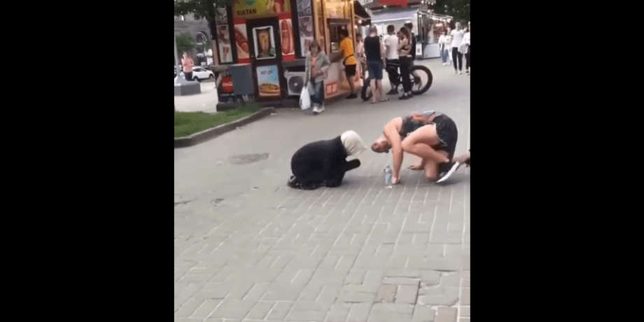 разоблачение попрошайки
