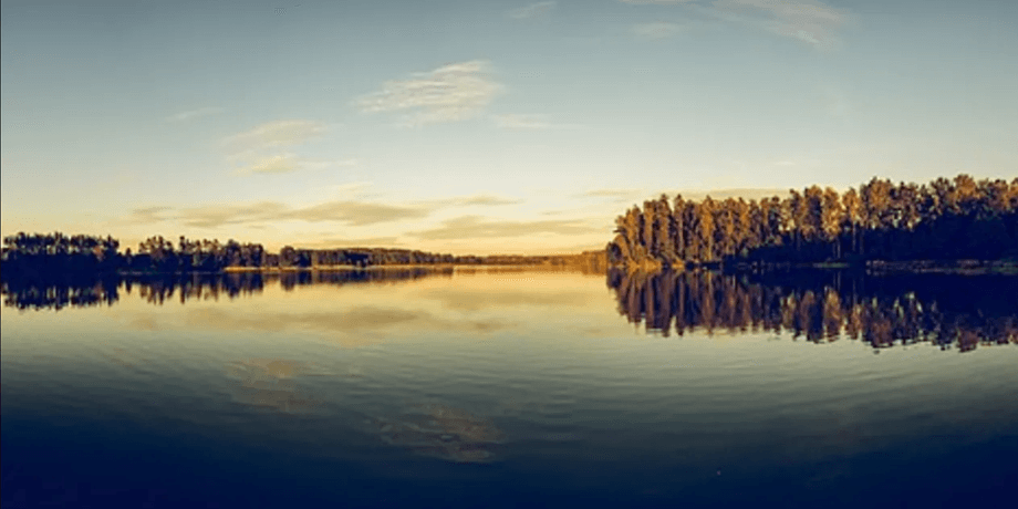 краєвид, річка, ліс