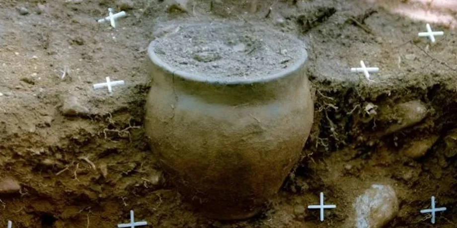 археологи, археология, Польша, культура, кладбище, захоронения, урны, могилы, пшеворцы, артефакты, находки, останки, раскопки